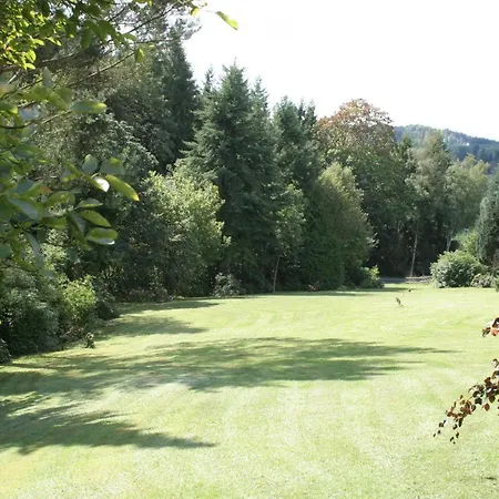 Fewo Roespe Erndtebrück Extérieur photo